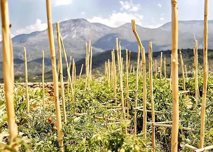 Euphoria Ξενοδοχείο με διαμερίσματα 4*